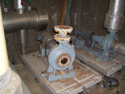 ��p���|���v�����O